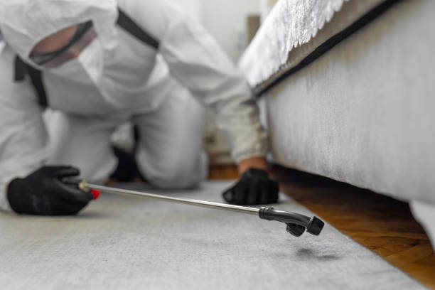 Professional Bed Bug Control technician working in Titusville, PA