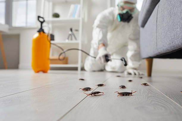 Trusted Cockroach Control service in Titusville, PA - Nex Pest Control